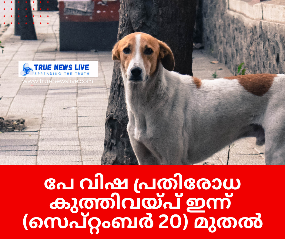 പേ വിഷ പ്രതിരോധ കുത്തിവയ്പ് ഇന്ന് ( സെപ്റ്റംബര് 20) മുതല്