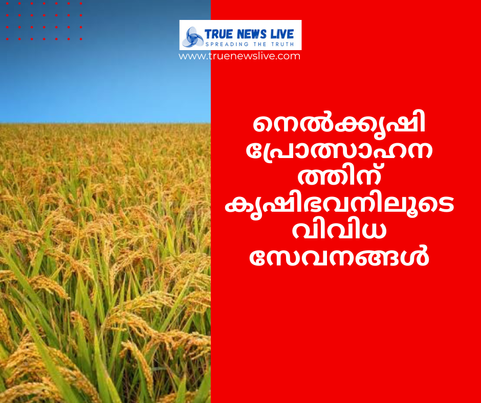നെൽക്കൃഷി പ്രോത്സാഹനത്തിന് കൃഷിഭവനിലൂടെ വിവിധ സേവനങ്ങൾ